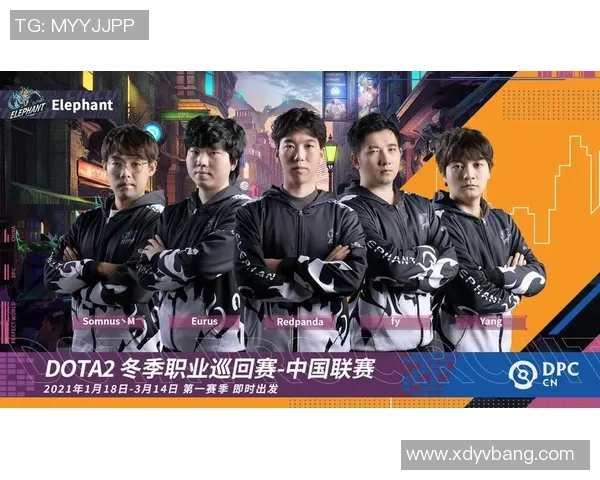 dota2有哪些比赛-DOTA 2比赛全景展示，鏖战不断的电竞盛宴-dota2有哪些比赛